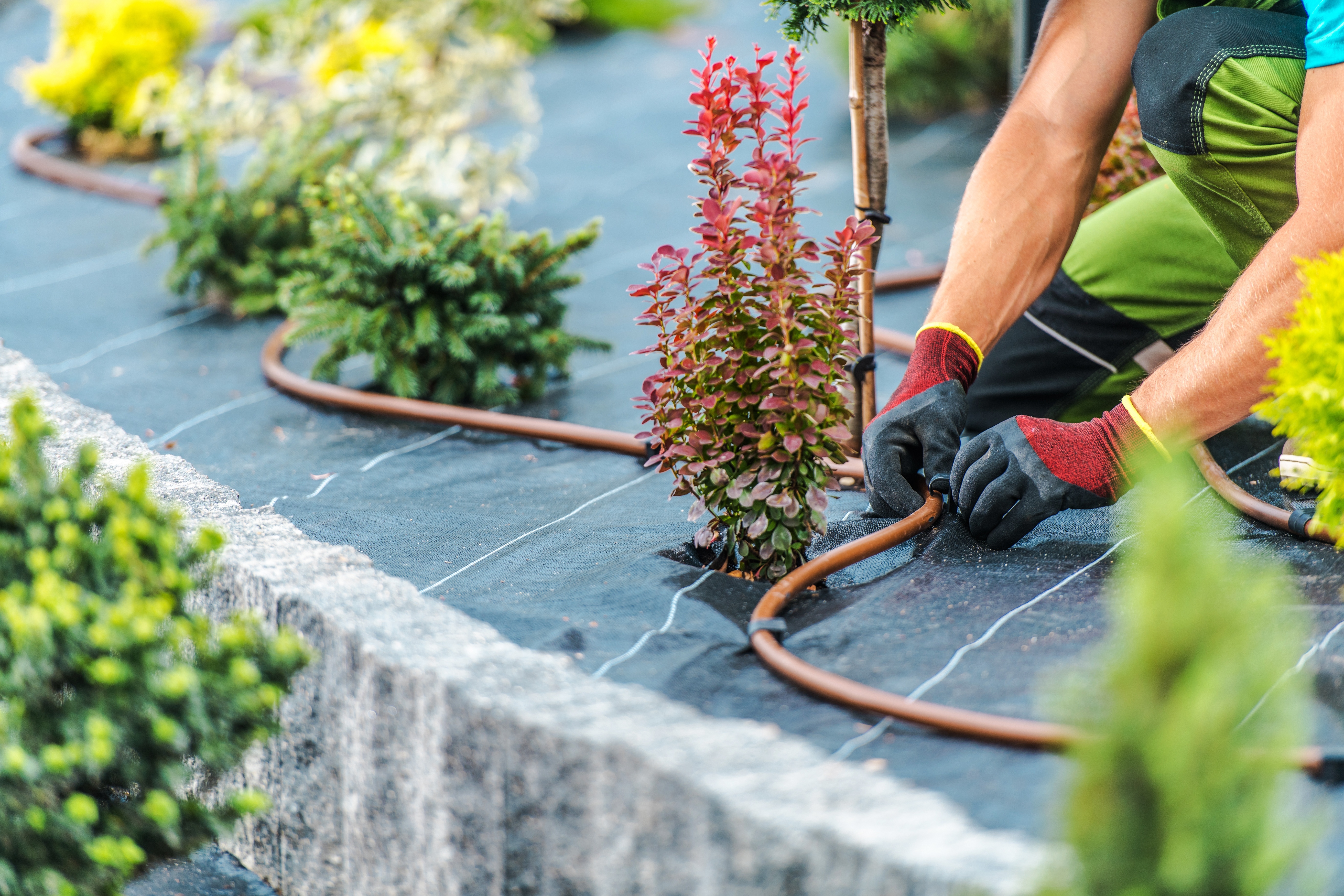 Residential Garden Irrigation System Building by Professional Landscaping and Gardening Technician.